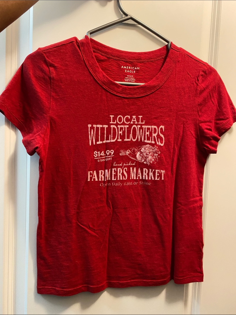 American Eagle Red Graphic Baby Tee